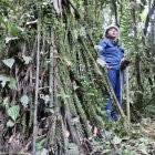 Expertos y científicos recomiendan que la agricultura vertical debería practicarse en espacios como el Parque Yasuní, situado en el oriente de Ecuador.