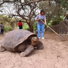 Biodiversidad. La Reserva de Biósfera del archipiélago se amplió.