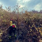 Bomberos combaten incendio