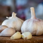 Historia y poder medicinal del ajo