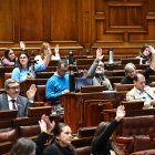 Vista general de una votación de diputados uruguayos al proyecto de ley "Muerte digna", en la Cámara de Representantes, en Montevideo (Uruguay)