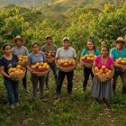 Agrocalidad buscar registrar más de 100.000 productores de cacao y café en el sistema GUIA, hasta diciembre.