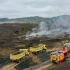 Los incendios forestales vienen en alza durante los últimos años en Guayaquil.