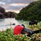 Galápagos. El acuerdo busca fortalecer la cooperación científica.