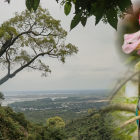 El Bosque Cerro Blanco es el pulmón de la ciudad de Guayaquil y ofrece actividades para grandes y pequeños.