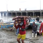 Los pescadores artesanales se han convertido en guardianes del manglar.