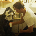 La película Good Boy tiene una particularidad: la narrativa se nutre de la visión de un perro.