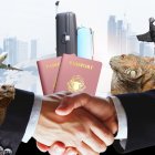 La feria ofrecerá unas 350 plazas de empleo, además de pasantías.