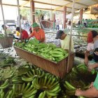 De enero a septiembre de 2025, las exportaciones a China incrementaron en el 19,77%.