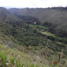 El valle de Uravía es una zona boscosa y rica en humedales, que cuenta con protección ecológica otorgada por el Municipio de Quito.