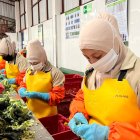 Comparativa: Salario básico en Ecuador versus otros países de América Latina.