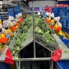 Ecuador: ¿Cómo afecta el aumento del salario básico a pequeñas y medianas empresas?