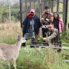 Rescate. Las especies rescatadas son devueltas a su hábitat.