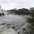 Ecosistema. En el estero Salado, en sectores como Guayarte (ingreso a la ciudadela Urdesa), se observa espuma generada por la descarga de aguas residuales domésticas e industriales.
