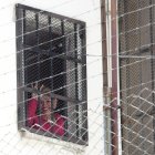 La expresidenta interina de Bolivia, Jeanine Áñez, saluda desde el Centro de Orientación Femenina de Miraflores, este miércoles, en La Paz (Bolivia).