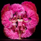 El carnaval de los animales es una obra que viene desde chile y recorre el continente hasta llegar a Ecuador.