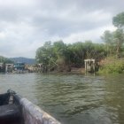 Pescadores denuncian que la tala también removió el lodo, imposibilitando una reforestacióin
