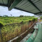 Descuido. Lo que a simple vista puede parecer un bosque, no es más que el diamante de béisbol del CEAR de Rioverde atestado de maleza y vegetación. Así hay más.