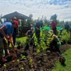 Voluntarios del Semillero Ciudadano y del equipo técnico del proyecto Hábitats Ecológicos Urbanos participaron en la siembra.