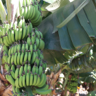 Referencial. Ecuador resalta los avances del nuevo acuerdo comercial.