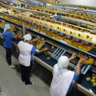 Desempeño. Los productores de esta fruta prevén cerrar 2025 con la exportación de 12.5 millones de cajas. La cifra representa una caída del 20 % frente a 2024.