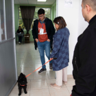 Varios ciudadanos llegaron a sus recintos electorales con sus mascotas.
