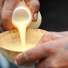 La ESPOL estudia el valor nutricional y cultural de bebidas fermentadas como la chicha de yuca y la chicha de chonta, pilares de la alimentación indígena amazónica.