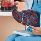 Guía definitiva con los mejores remedios naturales para el hígado graso