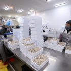 El sector camaronero, el motor de la exportación de Ecuador, aún debe pagar una tasa del 15 %.