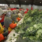 El brócoli, entre la lista de productos que deben esperar a una negociación.