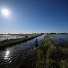 Un hombre camina por una carretera inundada debido a las fuertes lluvias en 9 de Julio, provincia de Buenos Aires, Argentina, el 5 de noviembre de 2025.