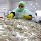 Entre enero y septiembre de 2025, por ejemplo, el camarón superó al crudo y se posicionó como el principal producto de exportación de Ecuador.