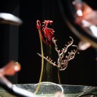 La exposición incorpora obras desarrolladas a partir de materiales no convencionales y de tecnologías comúnmente asociadas al diseño.