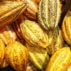 Entre los productos exentos de sobretasas constan cacao, café, plátano procesado, pitahaya, mango, piña, palmito, banano, flores y pesca.