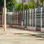 El "Parque de la Coviem" ahora se llamará Parque "Los cuatro niños de las Malvinas".