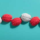 Neurociencia identifica 5 etapas cerebrales. No es un declive lineal