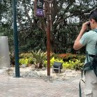 Paseo. El Malecón del Salado es uno de los sitios donde los turistas locales y foráneos pueden divisar aves.