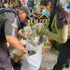 Policía ejecuta controles contra la venta de musgo.
