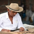 La tagua está registrada en la Lista Roja de Palmas del Ecuador bajo la categoría de “Vulnerable” (VU).