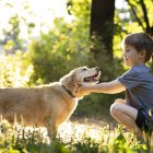 Un vínculo que va más allá de la compañía