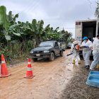 La actividad de control que lleva Agrocalidad en la provincia de El Oro, por brote del hongo Fusarium Raza 4 Tropical.