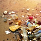 Provincias como Guayas, Manabí, Esmeraldas y El Oro concentran hotspots críticos donde el plástico amenaza especies, pesca artesanal y economías locales.