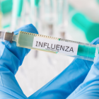 Referencial.Autoridades confirmaron que la variante K de la influenza detectada en Ecuador tuvo origen en familiares llegados desde España.