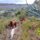 Protagonistas. Los canes Tony y Gaya, los “nietos de cuatro patas”, inspiraron el libro que Wilson Pinto.