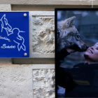 La Fundación Brigitte Bardot, legado de una estrella que dedicó su vida a proteger a los animales.