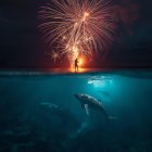 Representación del uso de fuegos artificiales y la vida marina.