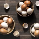 El color del huevo: genética y tradición