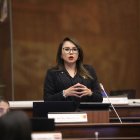 La ministra de Gobierno, Nataly Morillo, negó que el régimen haya pactado con el presidente de la Judicatura, Mario Godoy, quien deberá comparecer en la Asamblea por supuestas presiones a jueces.