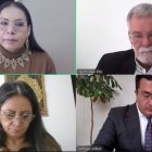 Sesión. A la reunión telemática acudieron Diana Atamaint, Enrique Pita, Elena Nájera y Jorge Cabrera.