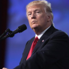 Trump afirmó que se reunirá con María Corina Machado la próxima semana tras varios meses sin comunicaciones.